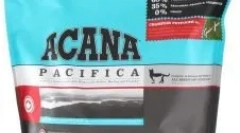 Může dospělé kočky dát jídlo pro koťata